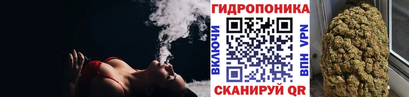 Купить закладки  Сысерть  Бошки Шишки конопля 